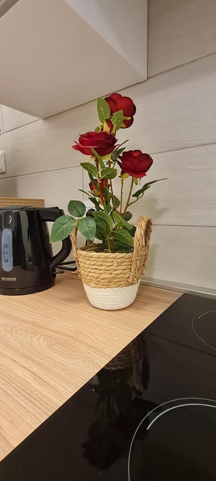 Appartement Gruppo Aedes Alghero, Residenza Lido - 80 Mt Dalla